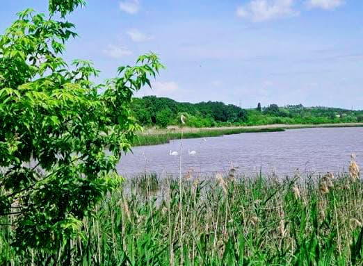 Lake Delia