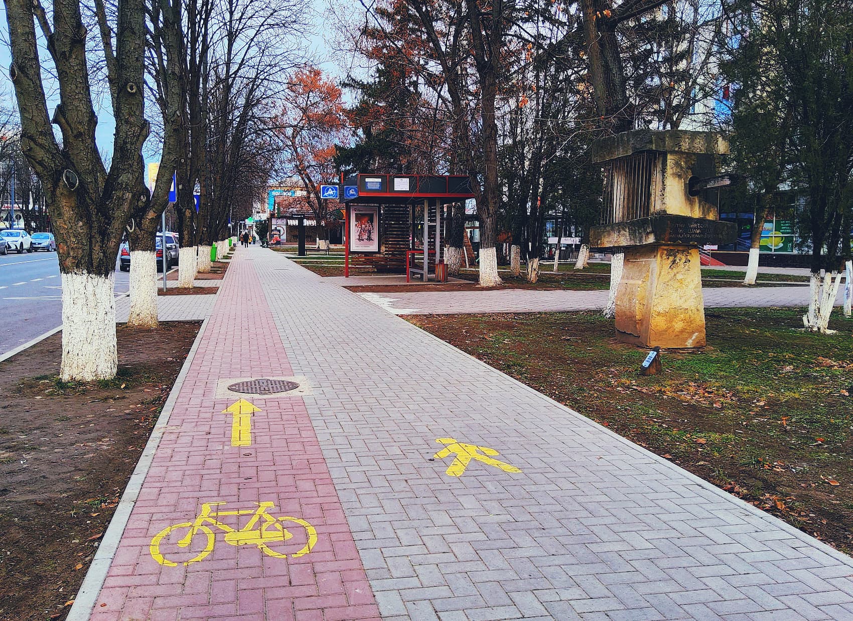 Bicycle Path Network