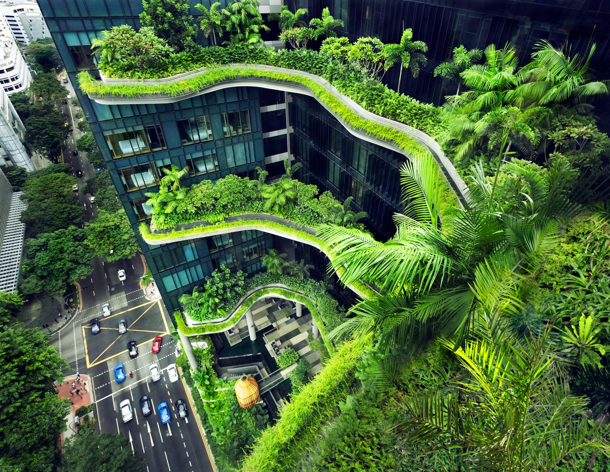 Singapore – City in Nature