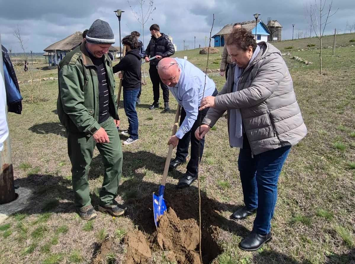 Tree planting at the Fishing Village Museum