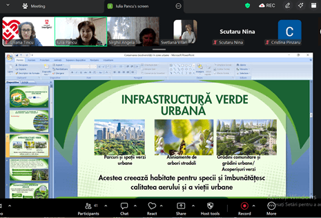 Webinars on urban green infrastructure