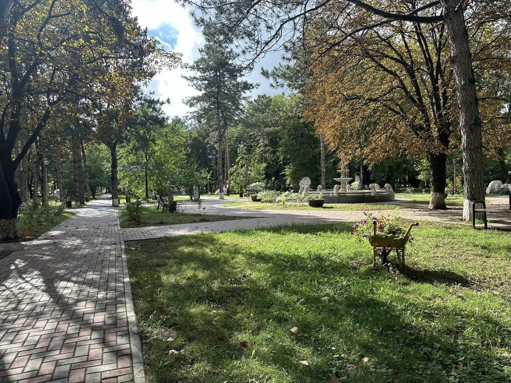 Micul Cluj Park